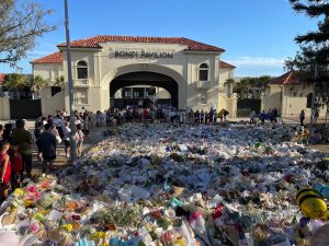 image-0912949e-643e-4e2f-9806-643b74391082